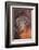 Orangutan-DLILLC-Framed Photographic Print