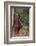 Orangutan-DLILLC-Framed Photographic Print