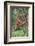 Orangutan-DLILLC-Framed Photographic Print