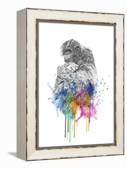 Orangutan-Karin Roberts-Framed Stretched Canvas