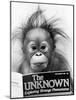 Orangutang, October 1986-null-Mounted Photographic Print