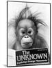 Orangutang, October 1986-null-Mounted Photographic Print