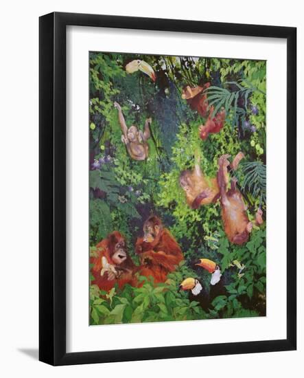 Orangutangs and Toucans, 1998-Odile Kidd-Framed Giclee Print