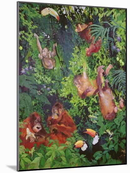 Orangutangs and Toucans, 1998-Odile Kidd-Mounted Giclee Print