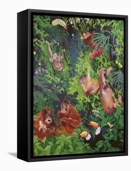 Orangutangs and Toucans, 1998-Odile Kidd-Framed Premier Image Canvas