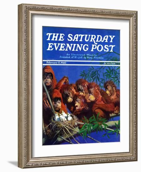 "Orangutans & Bird Nest," Saturday Evening Post Cover, February 17, 1940-Julius Moessel-Framed Giclee Print