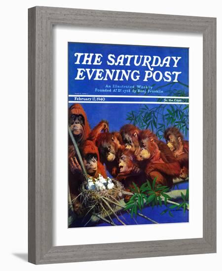 "Orangutans & Bird Nest," Saturday Evening Post Cover, February 17, 1940-Julius Moessel-Framed Giclee Print