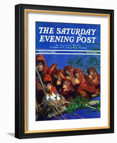 "Orangutans & Bird Nest," Saturday Evening Post Cover, February 17, 1940-Julius Moessel-Framed Giclee Print