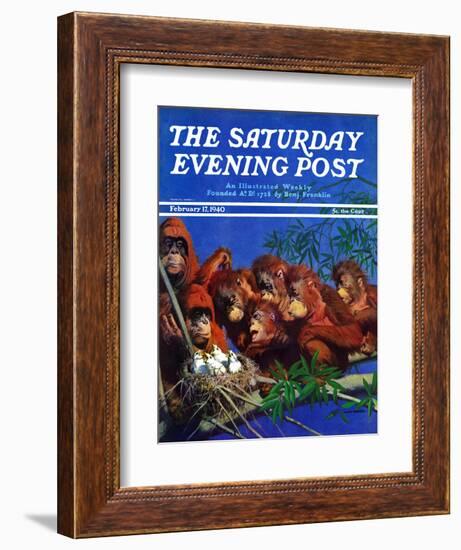 "Orangutans & Bird Nest," Saturday Evening Post Cover, February 17, 1940-Julius Moessel-Framed Giclee Print