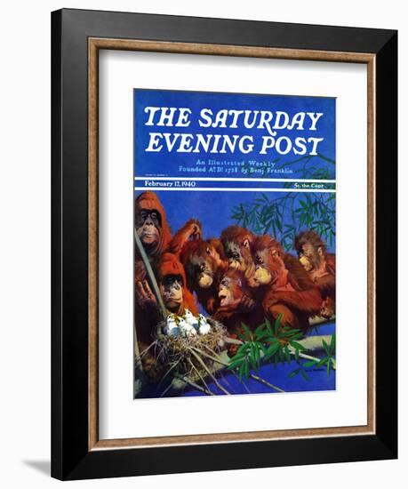 "Orangutans & Bird Nest," Saturday Evening Post Cover, February 17, 1940-Julius Moessel-Framed Giclee Print