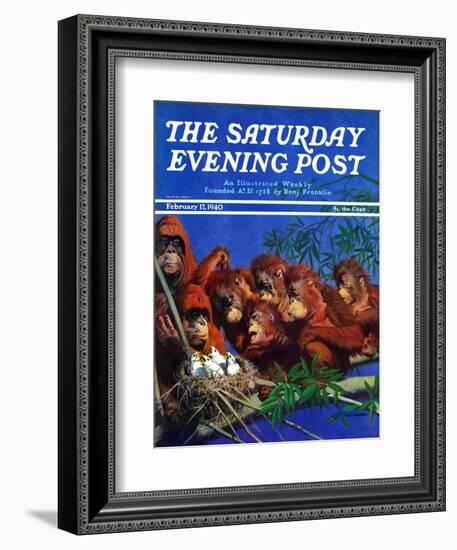 "Orangutans & Bird Nest," Saturday Evening Post Cover, February 17, 1940-Julius Moessel-Framed Giclee Print