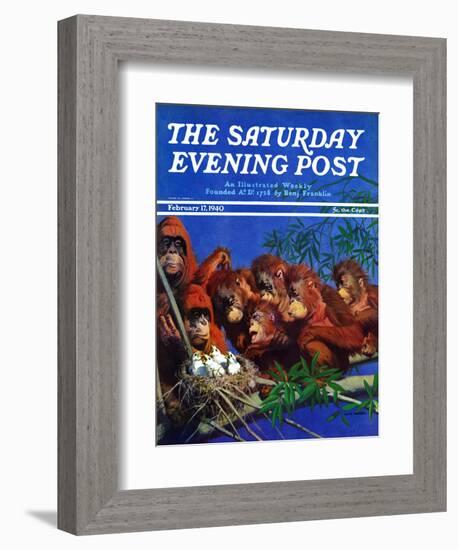 "Orangutans & Bird Nest," Saturday Evening Post Cover, February 17, 1940-Julius Moessel-Framed Premium Giclee Print