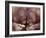 Orangutans in Captivity, Sandakan, Soabah, and Malasia, Town in Br. North Borneo-Co Rentmeester-Framed Photographic Print