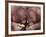 Orangutans in Captivity, Sandakan, Soabah, and Malasia, Town in Br. North Borneo-Co Rentmeester-Framed Photographic Print