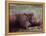 Orangutans in Captivity, Sandakan, Soabah, and Malasia, Town in Br. North Borneo-Co Rentmeester-Framed Premier Image Canvas