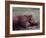 Orangutans in Captivity, Sandakan, Soabah, and Malasia, Town in Br. North Borneo-Co Rentmeester-Framed Photographic Print