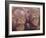 Orangutans in Captivity, Sandakan, Soabah, and Malasia, Town in Br. North Borneo-Co Rentmeester-Framed Photographic Print