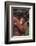 Orangutans-DLILLC-Framed Photographic Print