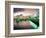 Oranjestad, Aruba, Caribbean-Robin Hill-Framed Photographic Print