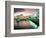 Oranjestad, Aruba, Caribbean-Robin Hill-Framed Photographic Print