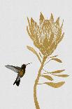 Hummingbird & Flower Ii-Orara Studio-Photographic Print