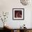 Orbit I - Chroma-Tony Koukos-Framed Giclee Print displayed on a wall