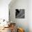 Orbit II-Tony Koukos-Mounted Giclee Print displayed on a wall
