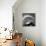 Orbit III-Tony Koukos-Mounted Giclee Print displayed on a wall