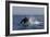 Orca Jumping-Lantern Press-Framed Art Print