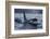 Orca - Killer Whale (Orcinus Orca) Surfacing, Senja, Troms County, Norway, Scandinavia, January-Widstrand-Framed Photographic Print