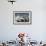 Orca (Orcinus Orca) Hunting Sea Lion Pups, Peninsula Valdez, Patagonia Argentina-Gabriel Rojo-Framed Photographic Print displayed on a wall