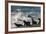 Orca (Orcinus Orca) Hunting Sea Lion Pups, Peninsula Valdez, Patagonia Argentina-Gabriel Rojo-Framed Photographic Print