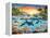 Orca Paradise-Adrian Chesterman-Framed Stretched Canvas