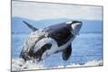 Premium Photographic Print
