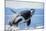 Orca Whale Breaching-null-Mounted Photographic Print