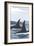 Orca Whale Fins-Lantern Press-Framed Art Print