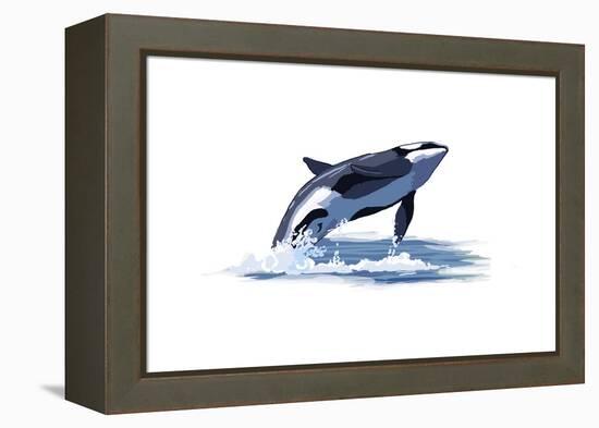 Orca Whale - Icon-Lantern Press-Framed Stretched Canvas