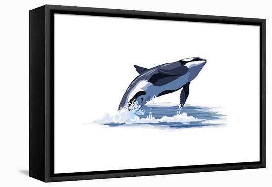 Orca Whale - Icon-Lantern Press-Framed Stretched Canvas