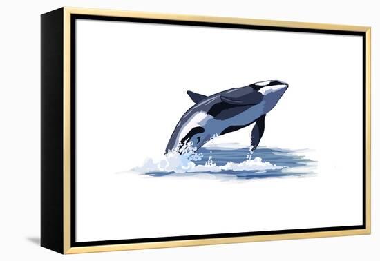 Orca Whale - Icon-Lantern Press-Framed Stretched Canvas