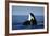 Orca Whale Spy Hopping-null-Framed Photographic Print