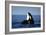 Orca Whale Spy Hopping-null-Framed Photographic Print