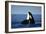 Orca Whale Spy Hopping-null-Framed Photographic Print