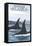 Orca Whales No.1, Kodiak, Alaska-Lantern Press-Framed Stretched Canvas