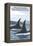 Orca Whales No.1, Orcas Island, Washington-Lantern Press-Framed Stretched Canvas