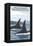 Orca Whales No.1, Orcas Island, Washington-Lantern Press-Framed Stretched Canvas