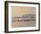 Orca Whales Surfacing in the San Juan Islands, Washington, USA-Stuart Westmoreland-Framed Photographic Print