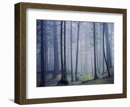 Orcas Island, Moran State Park, Washington, USA-Charles Gurche-Framed Photographic Print