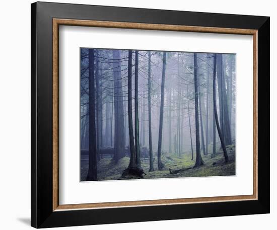 Orcas Island, Moran State Park, Washington, USA-Charles Gurche-Framed Photographic Print