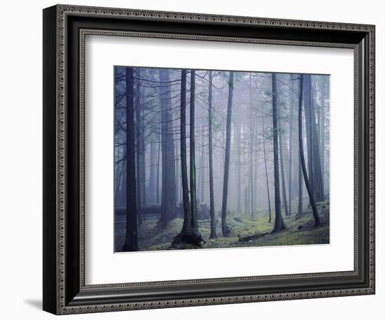 Orcas Island, Moran State Park, Washington, USA-Charles Gurche-Framed Photographic Print