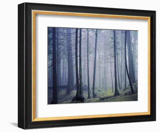 Orcas Island, Moran State Park, Washington, USA-Charles Gurche-Framed Photographic Print